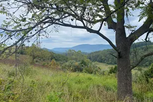 Gooney Manor Loop, Bentonville, VA 22610 - Photo 1
