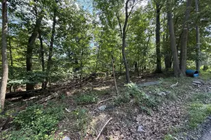 Lot 33 Audubon Rd, Hedgesville, WV 25427 - Photo 1