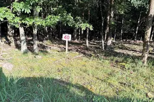 Lot 40 Berenger Dr, Petersburg, WV 26847 - Photo 1