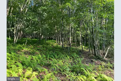 2.28 Ac Thorn Bottom, Lost River, WV 26810 - Photo 1