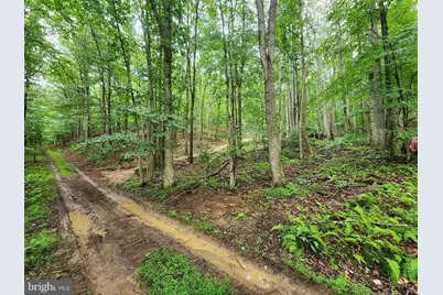 Lot 16-A Wits End, Mathias, WV 26812 - Photo 1