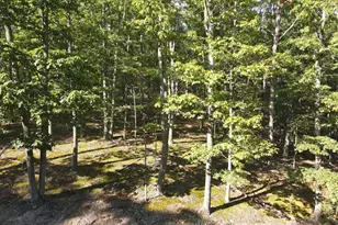 Lot 3 Trout Pass, Mathias, WV 26812 - Photo 1