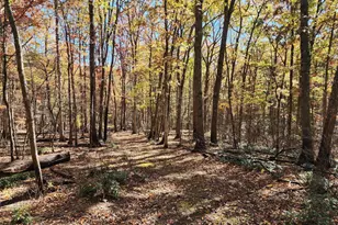 Lot 22 - Lost River Sub Divide, Mathias, WV 26812 - Photo 1