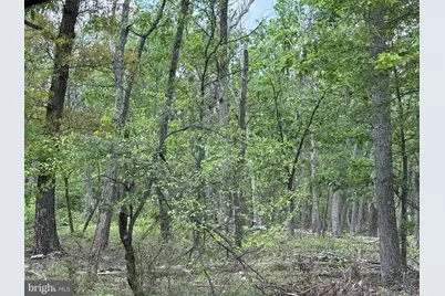 0 N Pioneer Lane, Augusta, WV 26704 - Photo 1