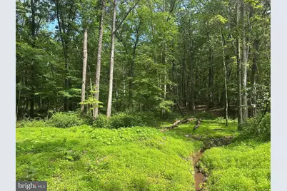 5.73 Ac Anthony Bohrer Road, Slanesville, WV 25444 - Photo 1