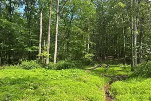 5 73 Ac Anthony Bohrer Rd, Slanesville, WV 25444 - Photo 1