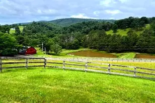 8763 Grassy Lick Rd, Romney, WV 26757 - Photo 1