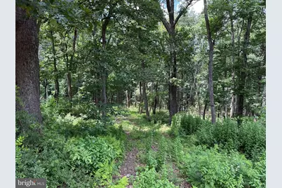 81 Cabin Road, Augusta, WV 26704 - Photo 1