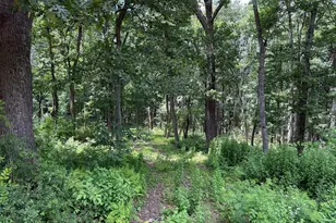 81 Cabin Rd, Augusta, WV 26704 - Photo 1