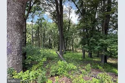 82 Cabin Road, Augusta, WV 26704 - Photo 1