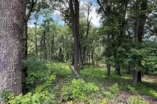 82 Cabin Rd, Augusta, WV 26704 - Photo 1