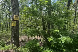 Eastwood Dr, Bloomery, WV 26817 - Photo 1