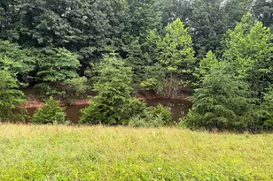 Cumberland Rd, Springfield, WV 26763 - Photo 1