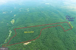 100 Ac On George Washington National Forest, Yellow Spring, WV 26865 - Photo 1
