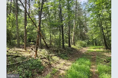 6.47 Acres Burd Lane, Augusta, WV 26704 - Photo 1