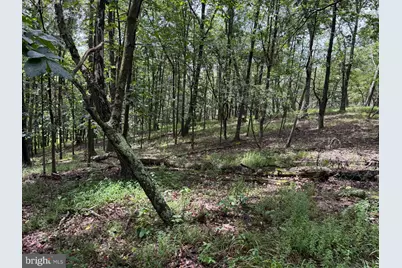 55.75 Ac Aj Kelley Road, Purgitsville, WV 26852 - Photo 1