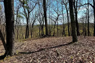 148 Acs Parrill Hollow, Burlington, WV 26710 - Photo 1