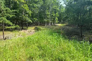 6 Beaver Run Rd, Burlington, WV 26710 - Photo 1