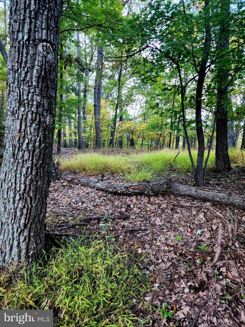 Trapper Ridge Ln, Hedgesville, WV 25427 MLS WVMO2002352 Coldwell Banker