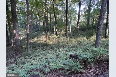 0 Mountainside Road, Berkeley Springs, WV 25411 - Photo 1