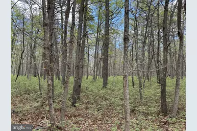 0 Granville Drive, Little Egg Harbor, NJ 08087 - Photo 1