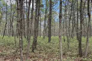 0 Granville Dr, Little Egg Harbor, NJ 08087 - Photo 1