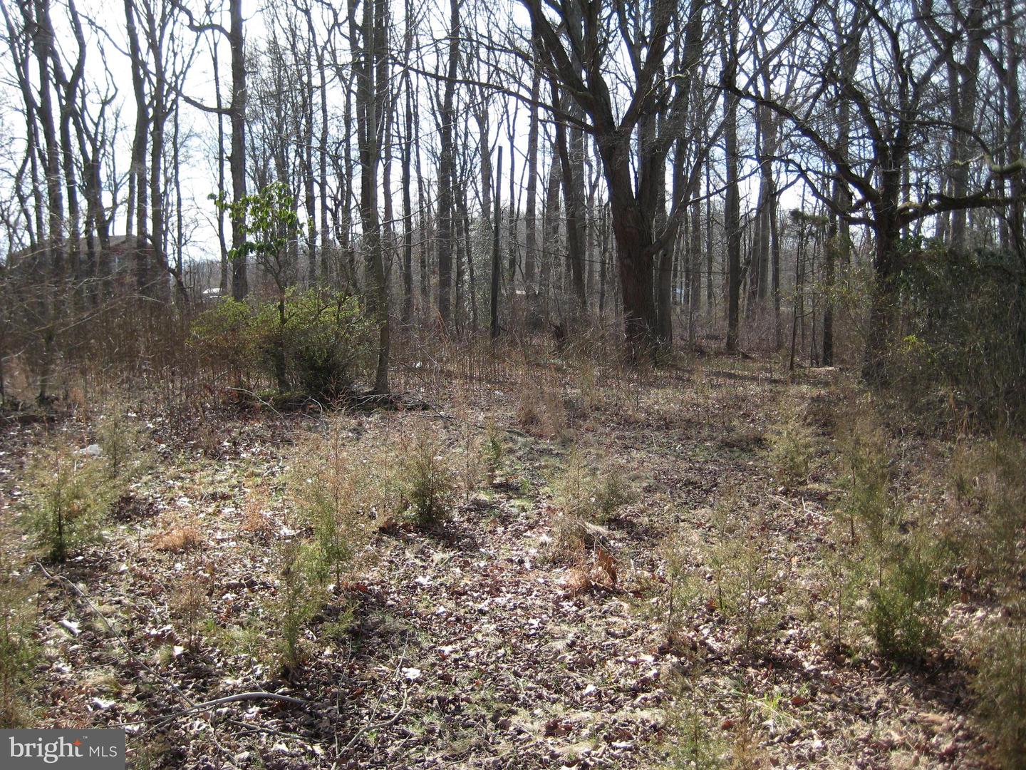 4180 Pearsons Corner Rd, Cheswold, DE 19904 MLS DEKT2018910