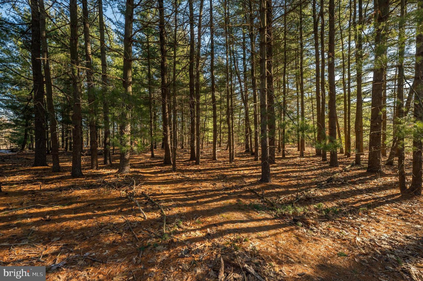 365 Creek Rd, Delran, NJ 08075 - MLS NJBL2059904 - Coldwell Banker