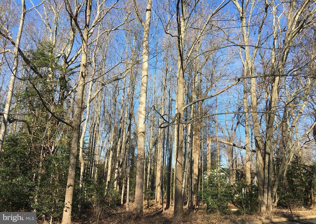 66 Leroy Ave, Berlin, NJ 08009 MLS NJCD2036972 Coldwell Banker