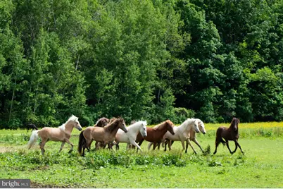 385 Latimore Creek Road, York Springs, PA 17372 - Photo 1