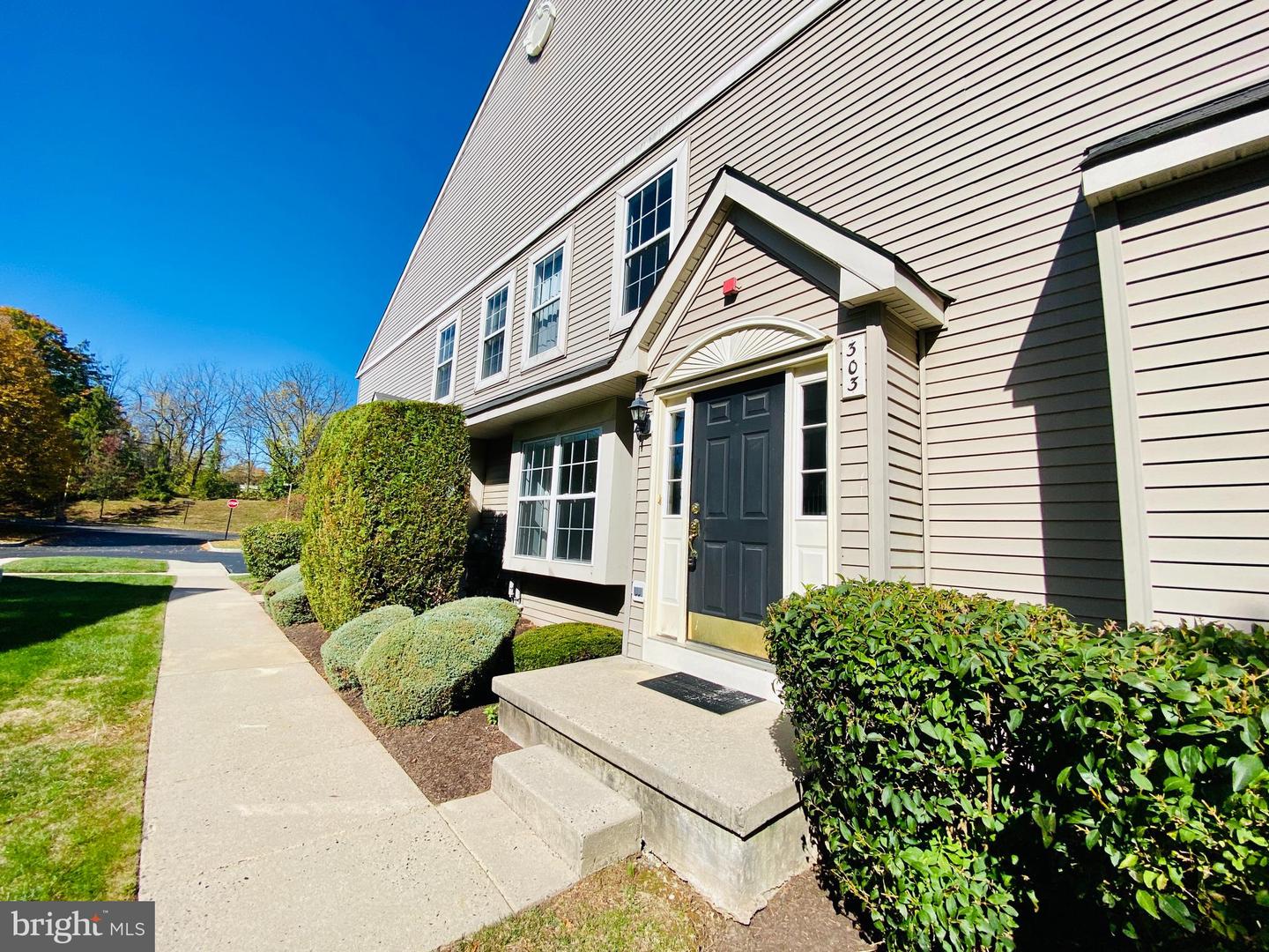 303 Black Walnut Dr, Phoenixville, PA 19460 MLS PACT2035200