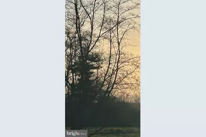 317 Greene Road, Berwyn, PA 19312 - Photo 1