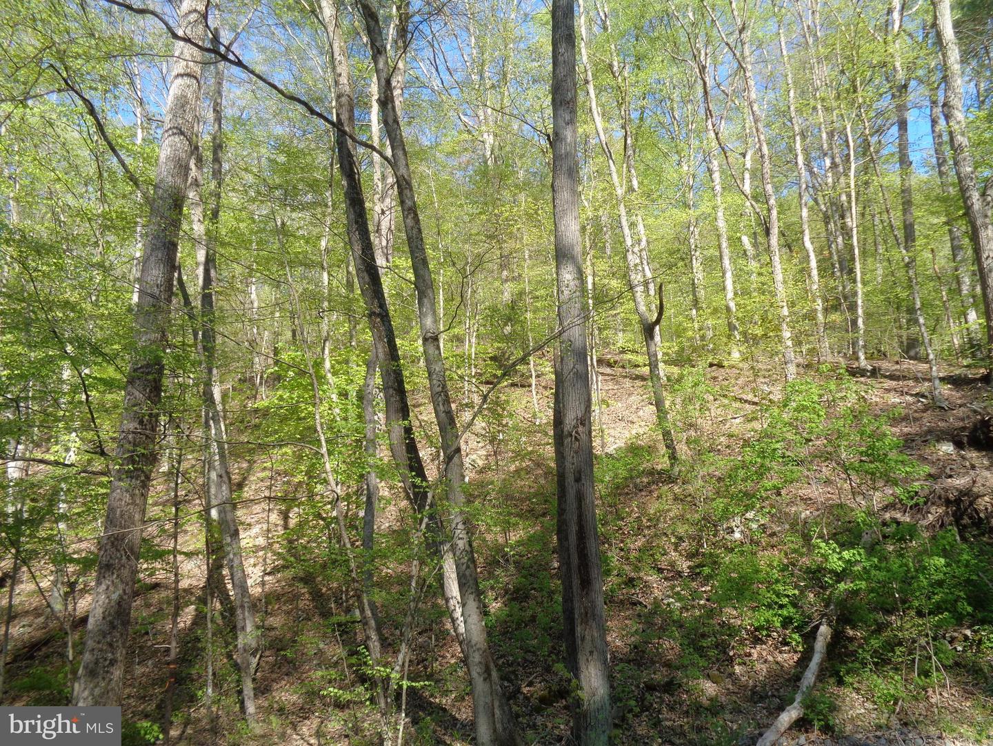 0 Fox Hollow Rd, Shermans Dale, PA 17090 MLS PAPY2001538 Coldwell