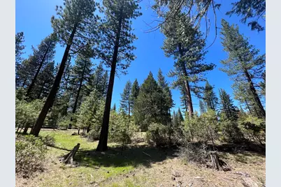 517 Eureka Springs Drive, Blairsden, CA 96103 - Photo 1