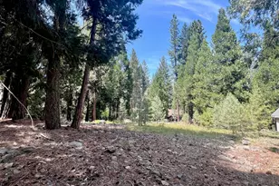 80 Paiute Trail, Graeagle, CA 96103 - Photo 1