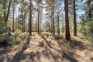 184 Grizzly Way, Portola, CA 96122 - Photo 1