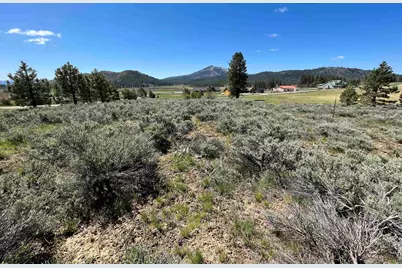 79177 Brae Gate Road, Beckwourth, CA 96129 - Photo 1