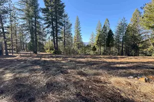 1210 Upper Pecks Valley Rd, Greenville, CA 95947 - Photo 1