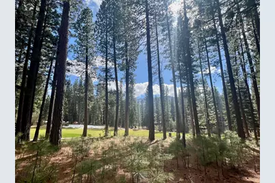 879 Prospector Drive, Clio, CA 96106 - Photo 1