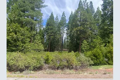 790 Red River Drive, Lake Almanor, CA 96137 - Photo 1