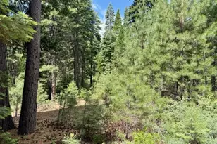 56 Fox Crest Dr, Lake Almanor, CA 96137 - Photo 1