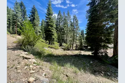 66 Eureka Trail, Johnsville, CA 96103 - Photo 1