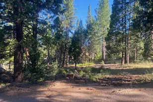 7500 Hwy 147, Lake Almanor, CA 96137 - Photo 1