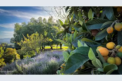 2852 Tapadero Road, Los Olivos, CA 93441 - Photo 35