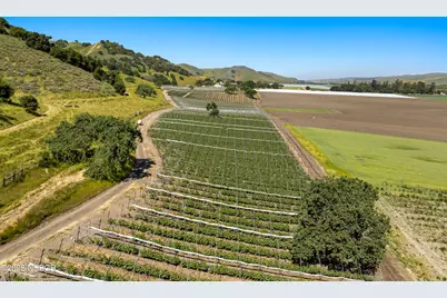 00 Ca Highway 135, Los Alamos, CA 93440 - Photo 9