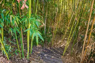 1516 Monarch Dr, Santa Ynez, CA 93460 - Photo 39