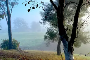 1516 Monarch Dr, Santa Ynez, CA 93460 - Photo 57