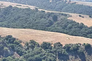 1250 Longview Ave, Pismo Beach, CA 93449 - Photo 17