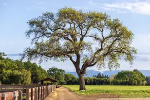 3325 Figueroa Mountain Rd, Los Olivos, CA 93441 - Photo 67