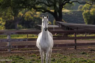 3325 Figueroa Mountain Rd, Los Olivos, CA 93441 - Photo 47